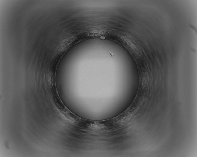 X0000094970455200712131458