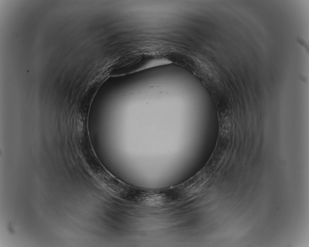 X0000094970456200712131458