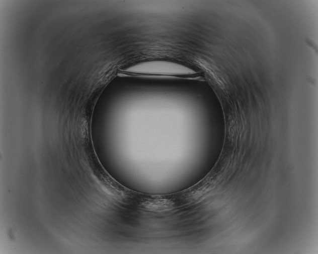 X0000094970459200712131458