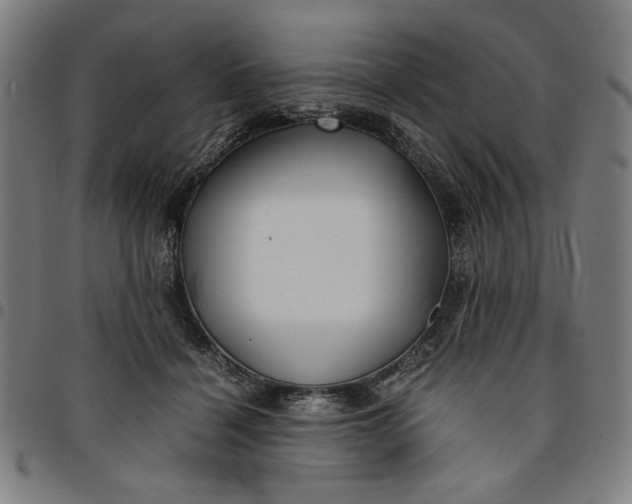 X0000094970460200712131458