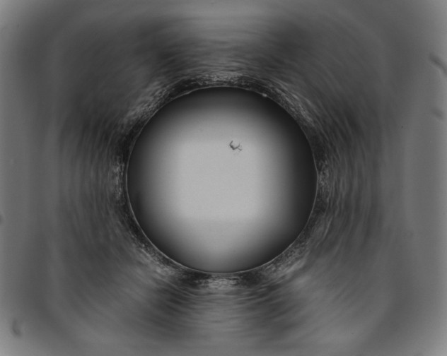 X0000094970462200712131458