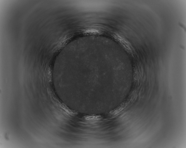 X0000094970465200712131458