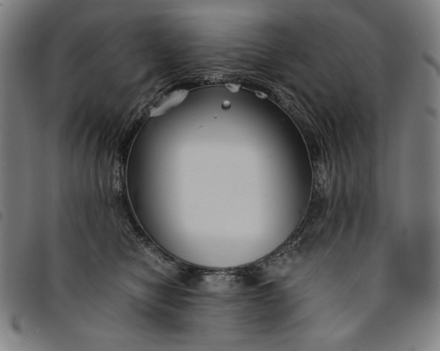 X0000094970470200712131458