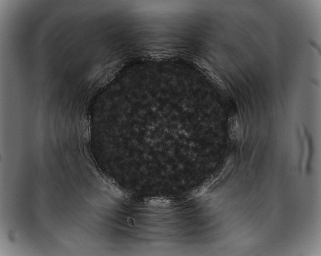 X0000094970471200712131458