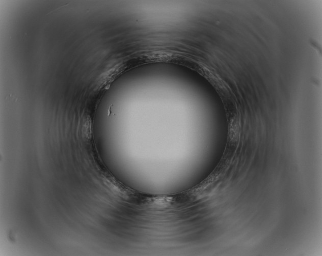 X0000094970474200712131459