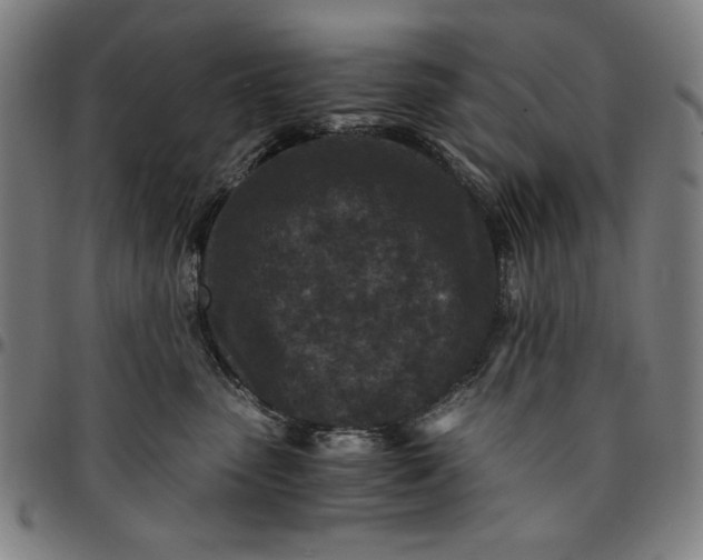 X0000094970475200712131459