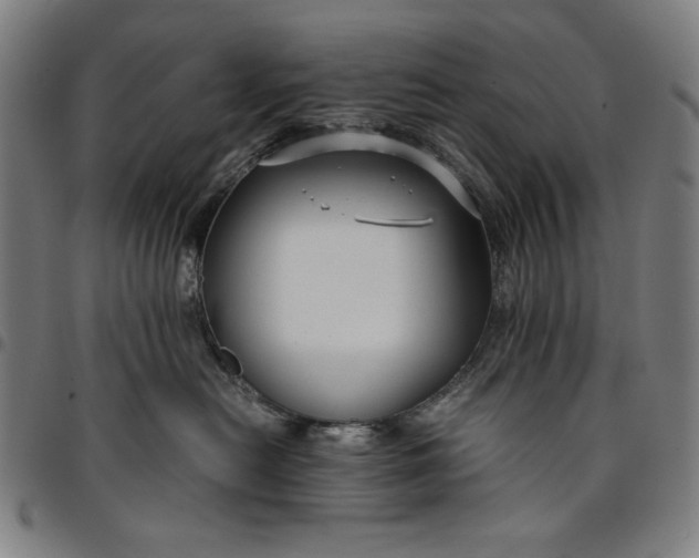 X0000094970478200712131459