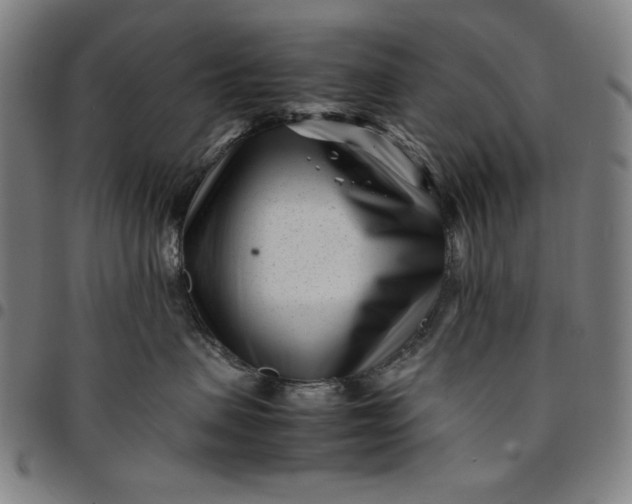 X0000094970479200712131459