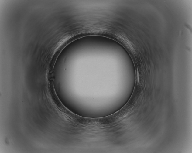 X0000094970483200712131458