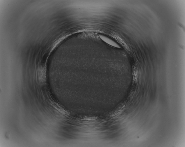 X0000094970484200712131458