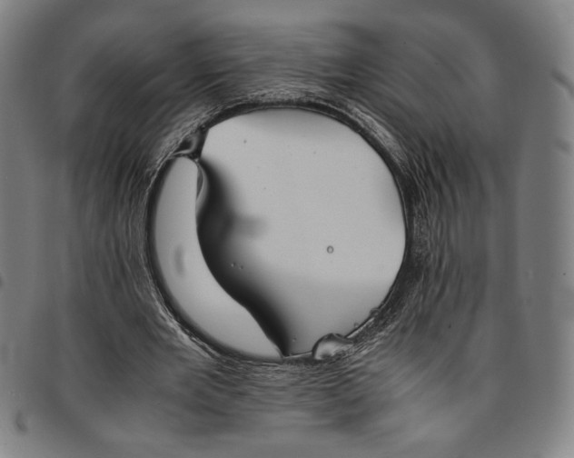 X0000094970485200712131458