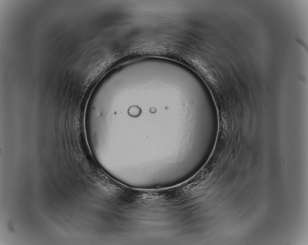 X0000094970487200712131458