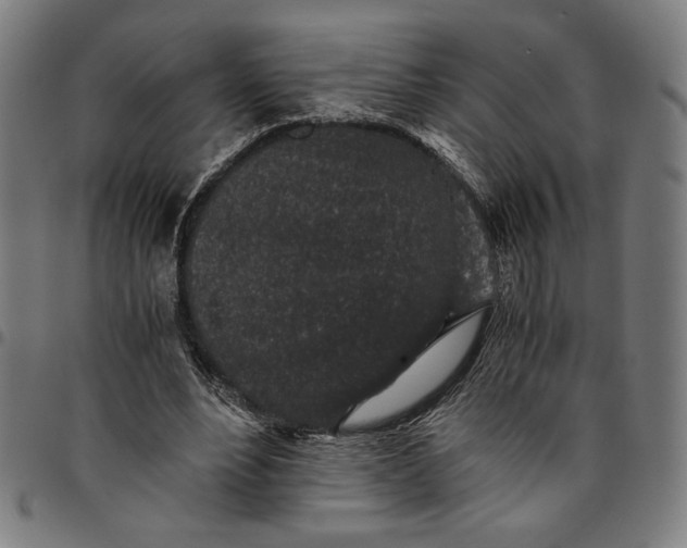 X0000094970488200712131458