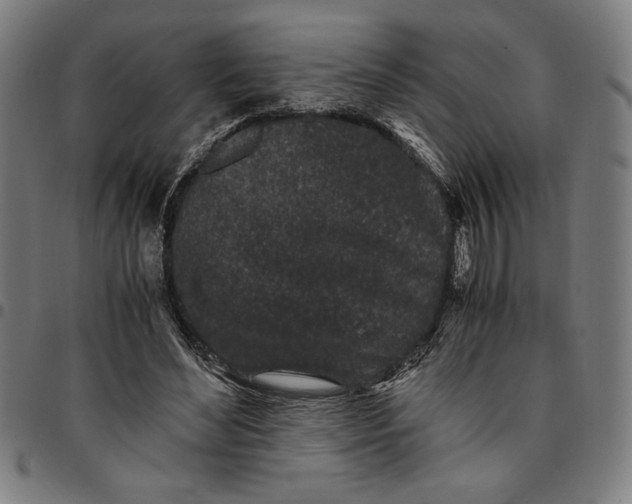 X0000094970492200712131458