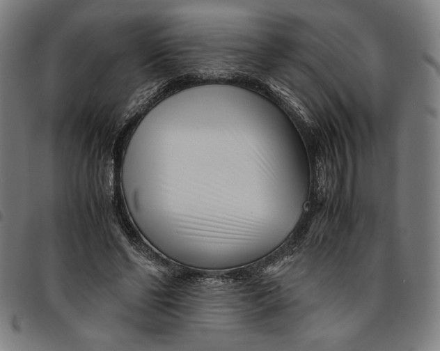 X0000094970494200712131458