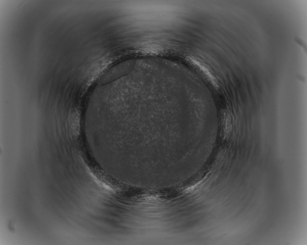 X0000094970496200712131458