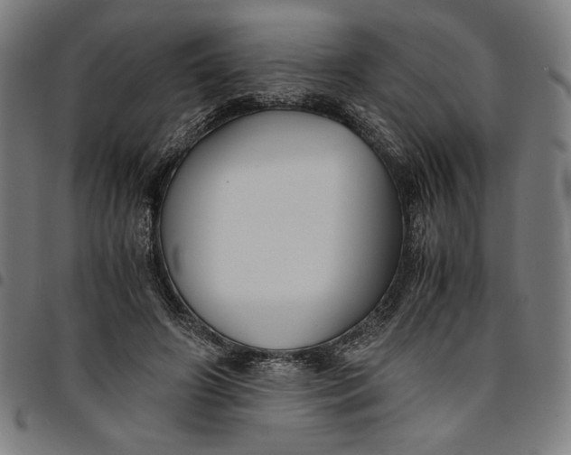 X0000094970498200712131458