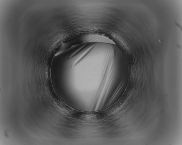 X0000094970501200712131458