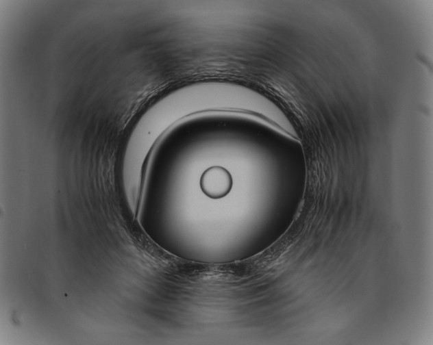 X0000094970504200712131458