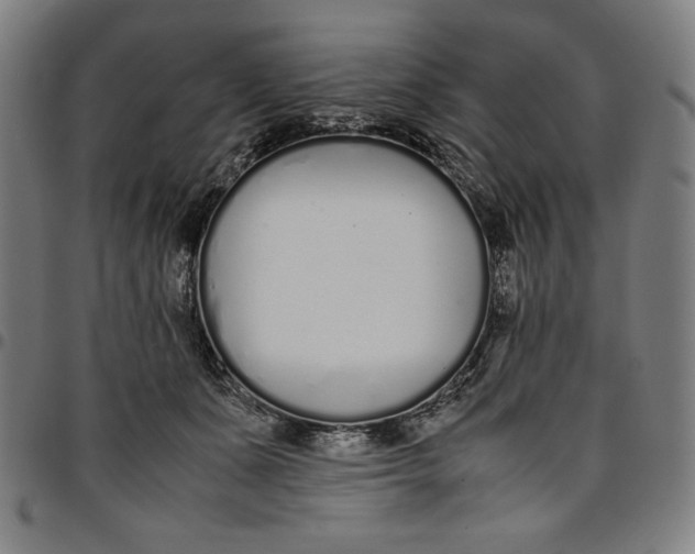 X0000094970511200712131458