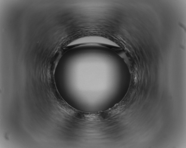 X0000094970516200712131457