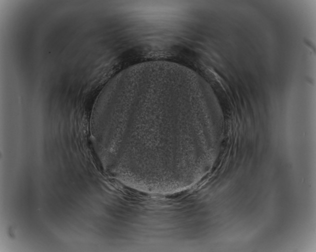 X0000094970517200712131457