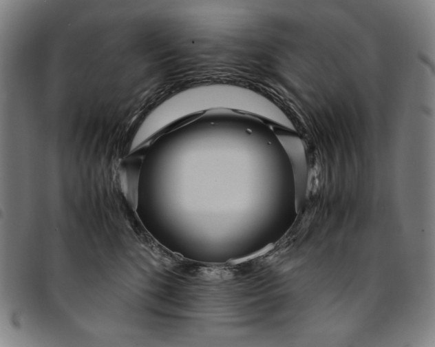 X0000094970520200712131457