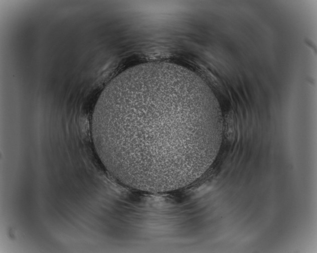 X0000094970523200712131457