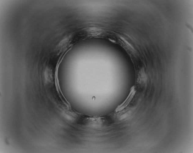 X0000094970524200712131457