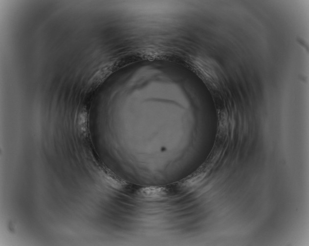 X0000094970526200712131457