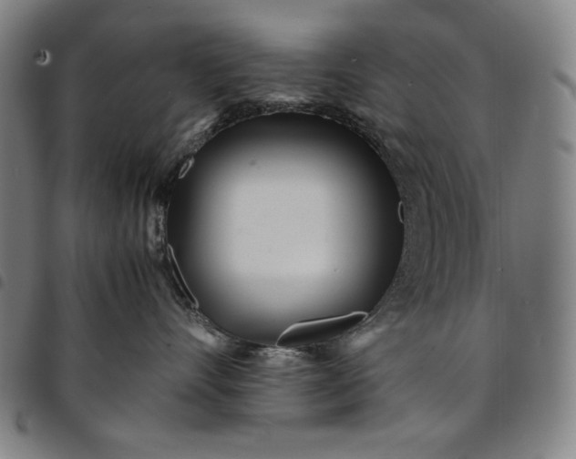 X0000094970528200712131457