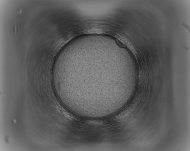 X0000094970529200712131457