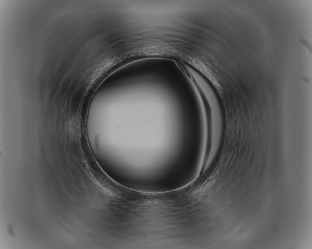 X0000094970530200712131457