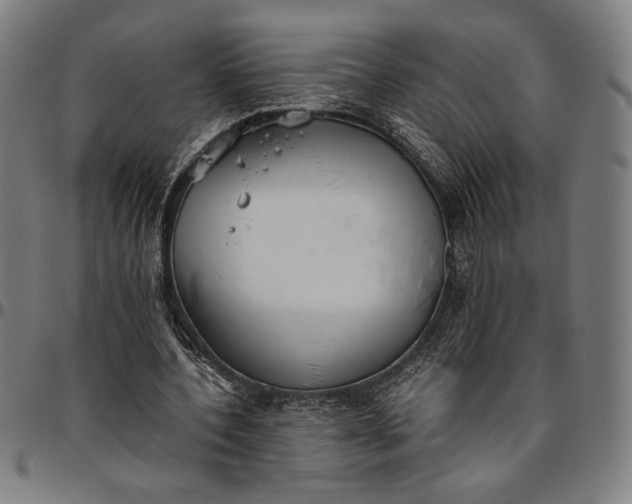 X0000094970532200712131457