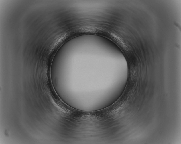 X0000094970538200712131457