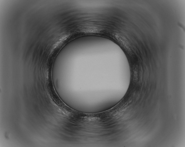 X0000094970539200712131457