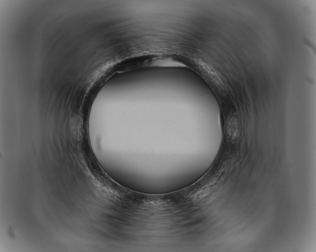 X0000094970540200712131457