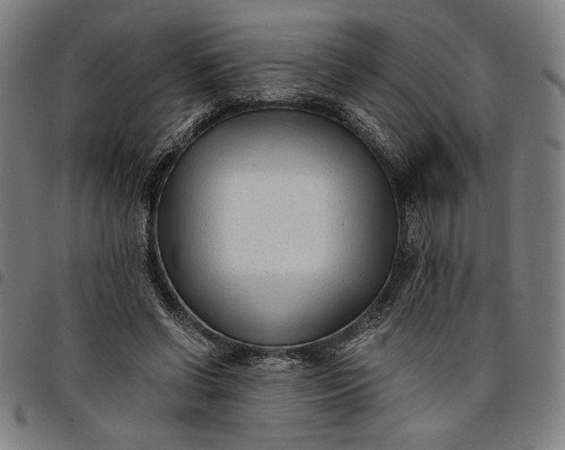 X0000094970542200712131457