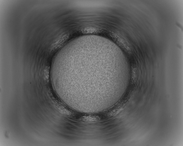 X0000094970545200712131457