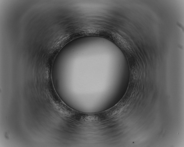 X0000094970546200712131457