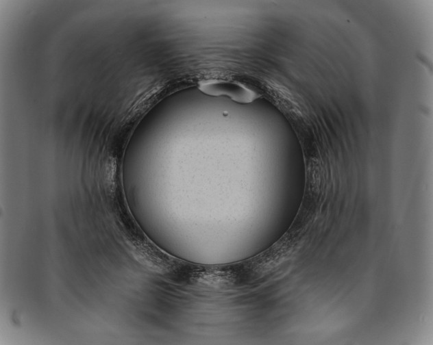 X0000094970550200712131457