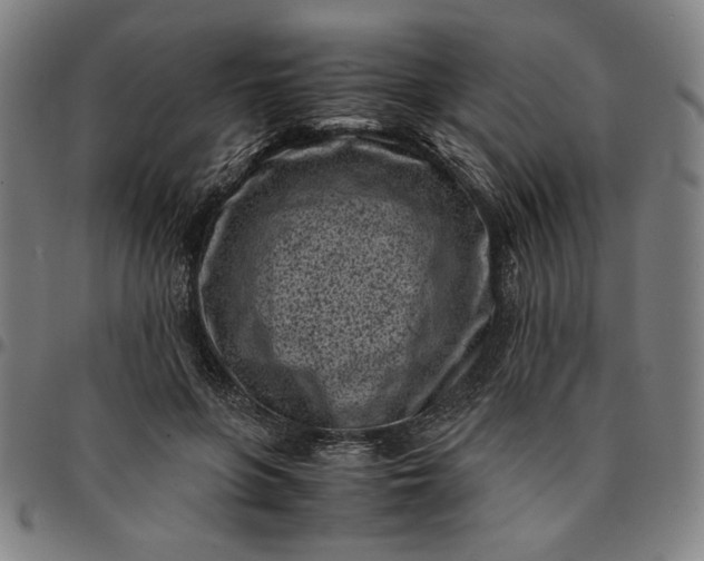 X0000094970551200712131457