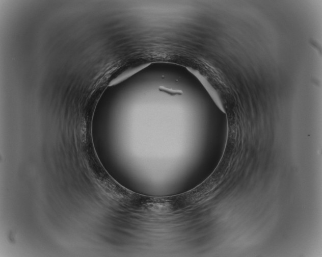 X0000094970552200712131457