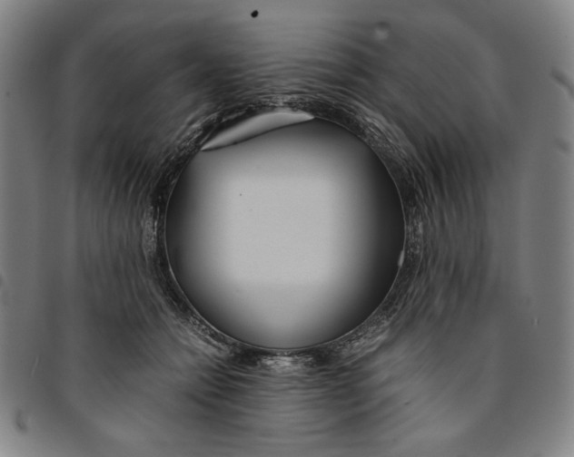 X0000094970558200712131457