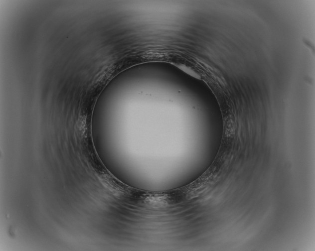 X0000094970560200712131457