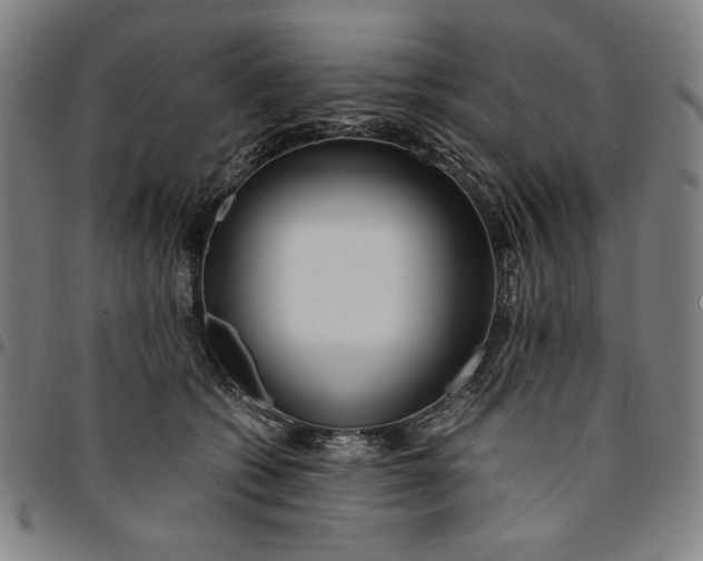 X0000094970562200712131457