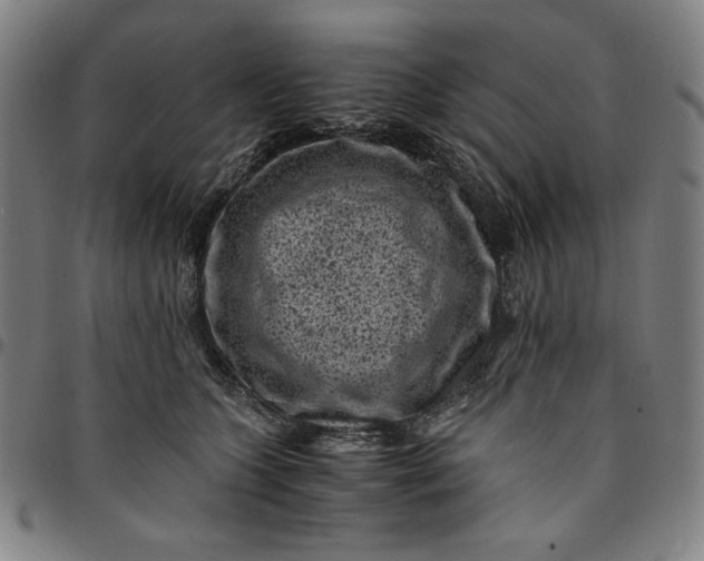 X0000094970563200712131457