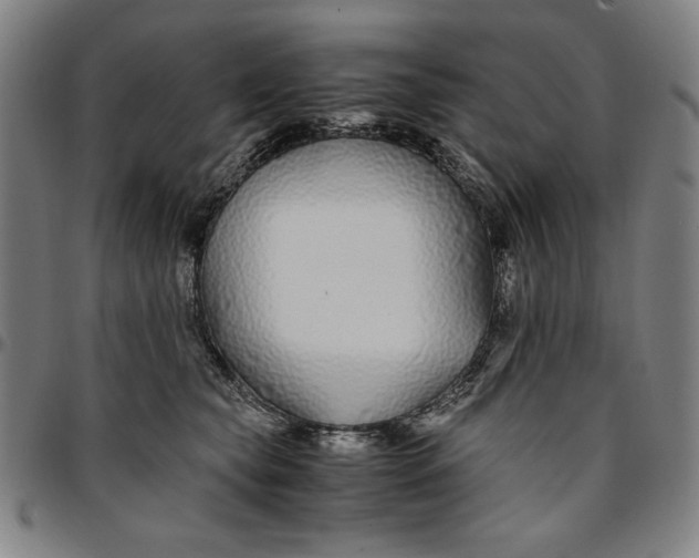 X0000094970565200712131457