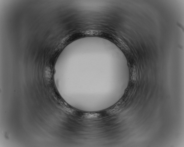 X0000094970569200712131457