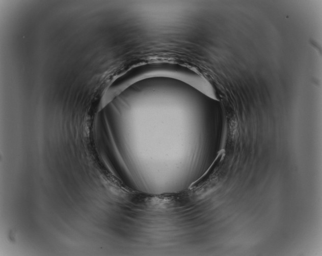 X0000094970570200712131457